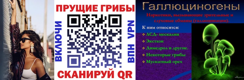 Галлюциногенные грибы ЛСД  Полесск 